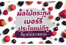 ประโยชน์มากมายกับตระกูลเบอรี่ เรื่องเบอรี่ ๆ ที่คุณอาจไม่เคยรู้กันมาก่อน ประโยชน์มากมายกับตระกูลเบอรี่ เรื่องเบอรี่ ๆ ที่คุณอาจไม่เคยรู้กันมาก่อน
